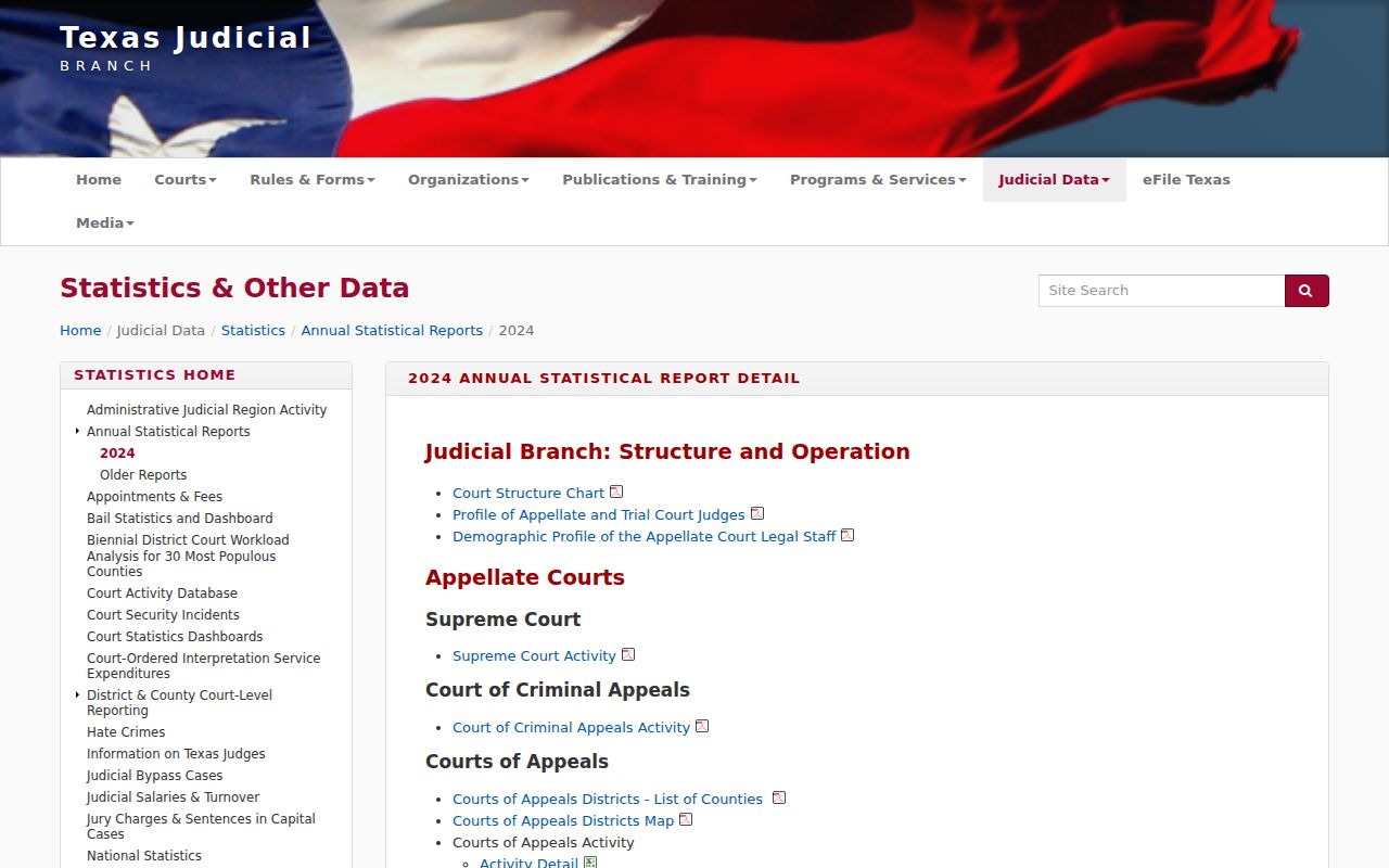 Texas OCA fiscal 2024 court activity report index