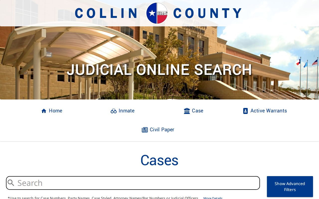 Collin County direct public case-search application screen